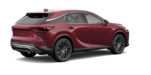 LEXUS RX Hybride 350H 2025 - Vue extérieure - 3