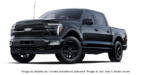 2026 FORD F-150 Hybrid PLATINUM - Exterior view - 1