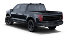 2026 FORD F-150 Hybrid PLATINUM - Exterior view - 3