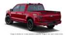 2026 FORD F-150 PLATINUM - Exterior view - 3