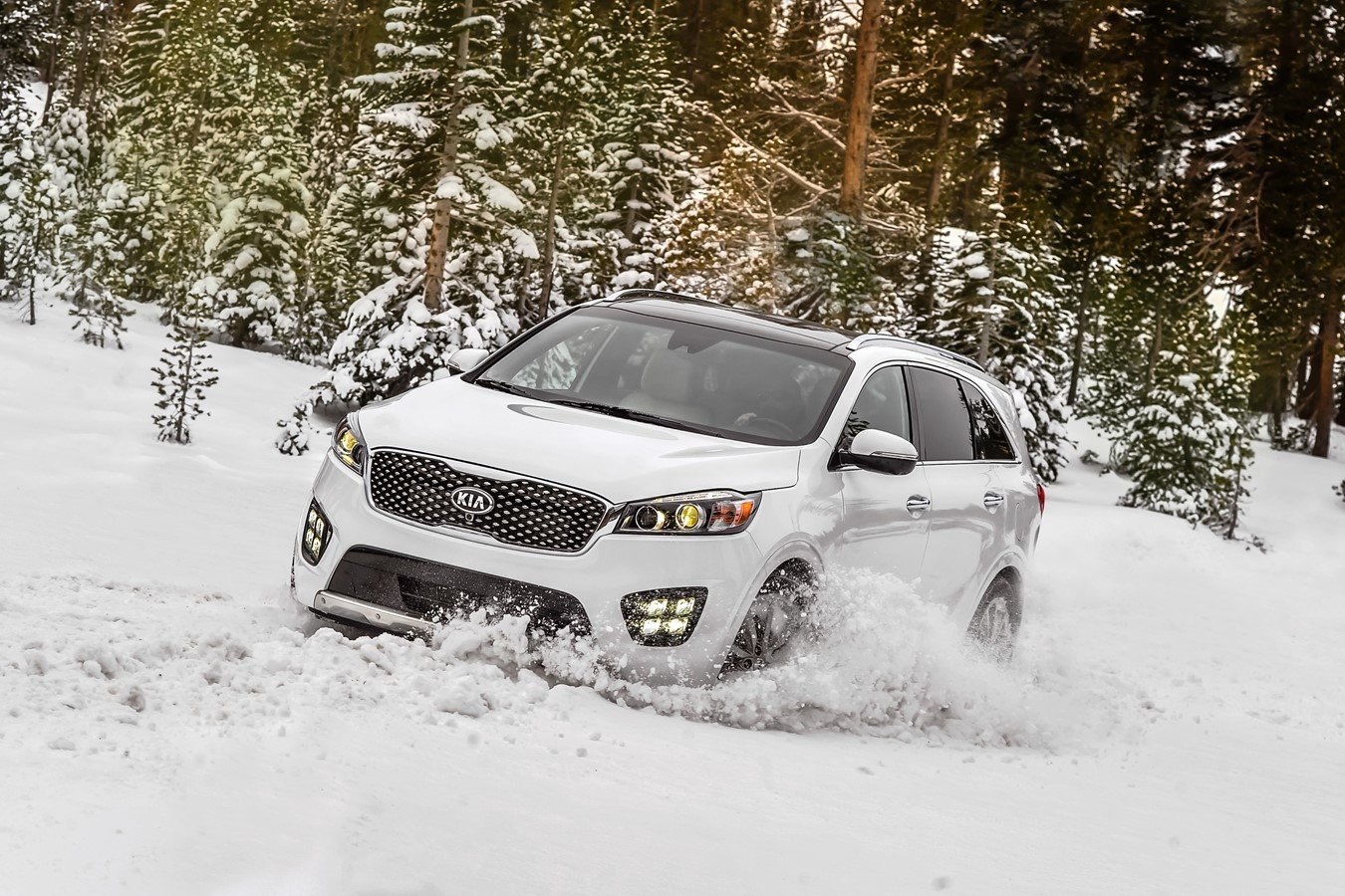 When Should I Put My Winter Tires On In PEI?