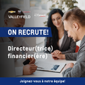 Directeur(trice) financier(ère)