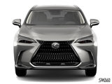 LEXUS NX 250 SIGNATURE 2025