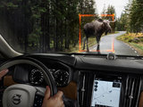 How does the Volvo Large Animal Braking Technology Work?