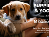 Puppies & Yoga Family Event