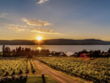 Enter to Win a VIP Volvo Cars Kelowna and Summerhill Winery Experience