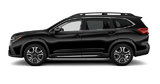SUBARU ASCENT LIMITED 2024