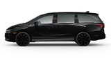 2025 HONDA ODYSSEY BLACK EDITION