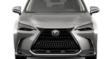 2025 LEXUS NX 250 SIGNATURE