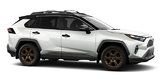 2025 TOYOTA RAV4 Hybrid WOODLAND