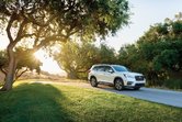 Everything You Need to Know About the 2019 Subaru Ascent