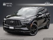 2025 Infiniti QX60 BLACK EDITION