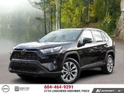 2025 Toyota RAV4 XLE AWD