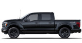 2025 FORD F-150 HYBRID PLATINUM - Exterior view - 2