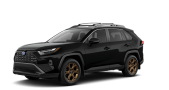 2025 TOYOTA RAV4 HYBRID WOODLAND - Exterior view - 1
