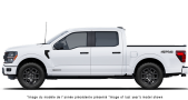 FORD F-150 Hybrid STX 2027 - Vue extérieure - 2