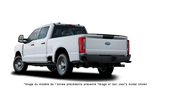 FORD F-250 PLATINUM 2027 - Vue extérieure - 3