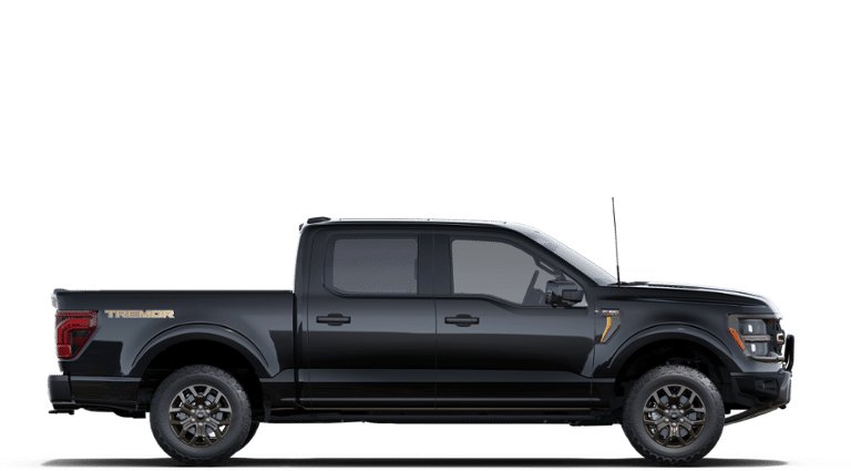 Ford F-150 TREMOR 2025 à Rivière-du-Loup, Québec - 5 - w1920h1200px