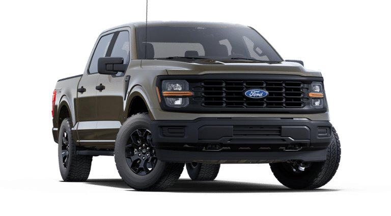 Ford F-150 STX 2025 à Matane, Québec - 4 - w1920h1200px