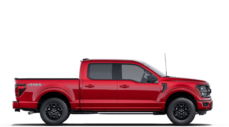 2025 Ford F-150 XLT in Matane, Quebec - 5 - w1920h1200px