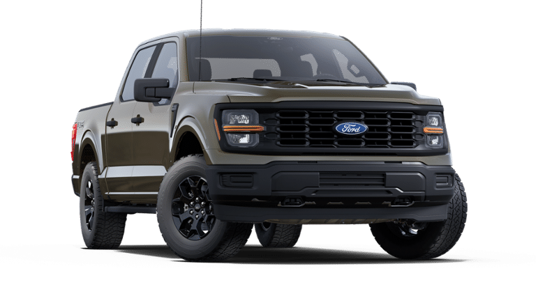 2025 Ford F-150 STX in Matane, Quebec - 4 - w1920h1200px