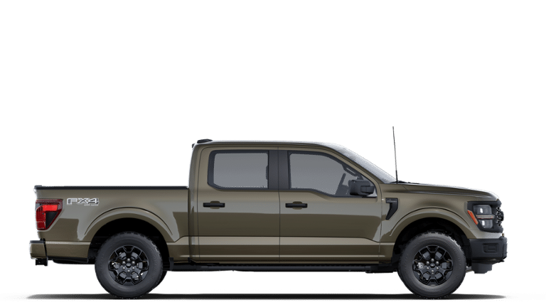 2025 Ford F-150 STX in Matane, Quebec - 5 - w1920h1200px