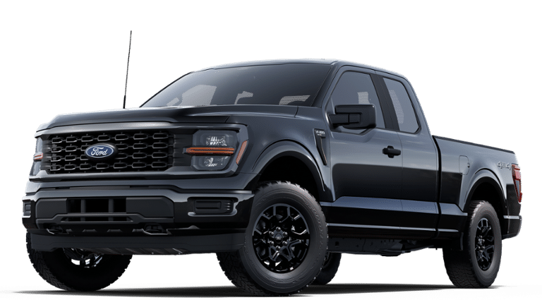 2025 Ford F-150 STX in Matane, Quebec