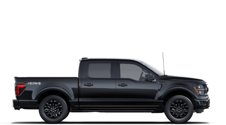 2025 Ford F-150 XLT in Matane, Quebec - 5 - w1920h1200px