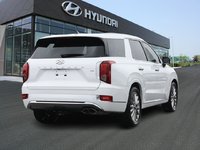 2020 Hyundai Palisade Ultimate-3
