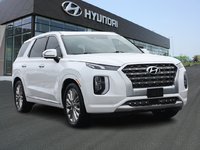 2020 Hyundai Palisade Ultimate-2