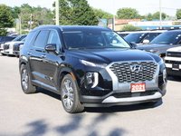 2021 Hyundai Palisade Luxury-2