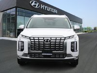 2023 Hyundai Palisade Ultimate-1
