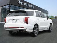 2023 Hyundai Palisade Ultimate-3