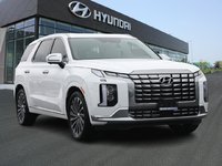 2023 Hyundai Palisade Ultimate-2