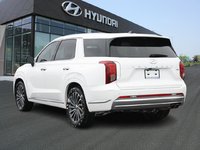 2023 Hyundai Palisade Ultimate-5