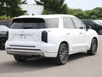 2023 Hyundai Palisade Ultimate Calligraphy-3