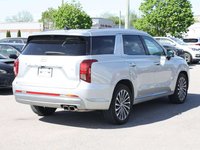 2024 Hyundai Palisade Ultimate-3