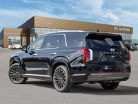 2025 Hyundai Palisade Ultimate Calligraphy-3