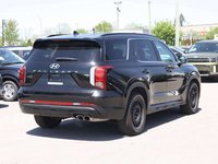 2025 Hyundai Palisade Urban-3