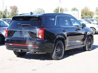 2025 Hyundai Palisade Ultimate-3