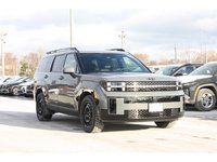 2025 Hyundai Santa Fe Ultimate Calligraphy-3