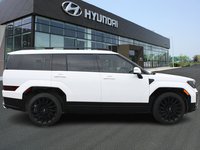 2025 Hyundai Santa Fe Ultimate-3