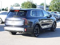 2025 Kia Telluride SX Limited-3