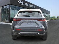 2023 Lexus NX 350 Base-4