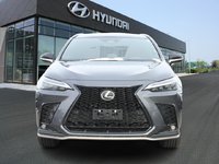 2023 Lexus NX 350 Base-1