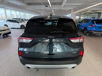 2022 Ford Escape SE-4