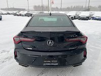 2022 Acura TLX A-Spec-5