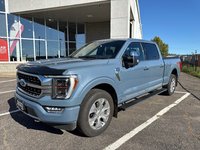 2023 Ford F-150 Platinum-0
