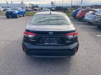 Toyota Corolla Hybrid LE 2024-3