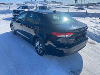 Toyota Corolla Hybrid LE 2024-3